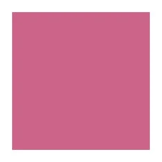 Папір для дизайну A4 (21*29.7см) "Folia" Fotokarton №29 Зів'яла троянда, 300г/м2 (10)