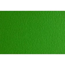 Папір для дизайну А3 (29,7*42см) "Fabriano" Elle Erre №11 verde, 220г/м2, зелений, дві текстури (10)