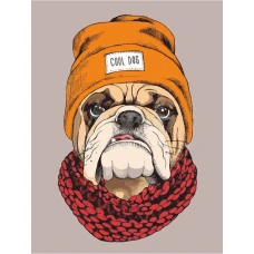 Картина на картоні з контуром "ROSA START" 30*40 "Pop Art Cool Dog" /233/ БЕЗ ФАРБ Картина на картоні з контуром "ROSA START" 30*40 "Pop Art Cool Dog" /233/ БЕЗ ФАРБ