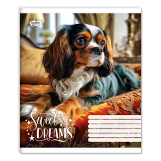 Зошит уч. "Бріск" 24арк.# /ТВ-109/ №2664 Лапи в тишi (20/400)