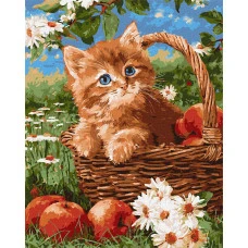 Картина за номерами "Ідейка" /KHO6920/ "Руде кошеня та яблука" 40*50см
