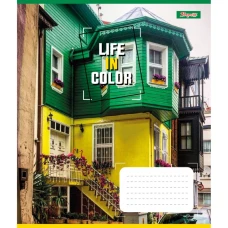 Тетрадь уч. "1В" 48л.== /767380/ "Life in colors" (10/200)