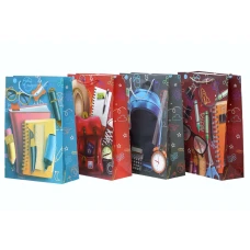 Пакет подарунковий 26*32*10см "WB" /Y826M/ з фольгою шкільний дизайн (12)