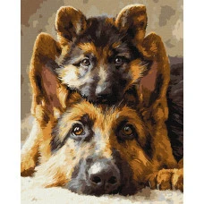 Картина за номерами "Ідейка" /KHO6944/ "Разом завжди" 40*50см