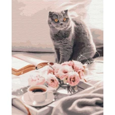 Картина за номерами "Brushme" /BS51927/ "Улюблений британець" 40*50см