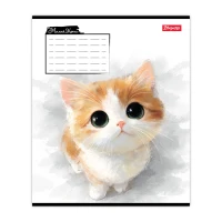 Зошит уч. "1B" 12арк.== /768735/ "Little cat" (25/500)