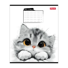 Зошит уч. "1B" 12арк.// /768736/ "Little cat" (25/500)