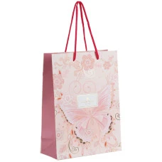 Пакет подарунковий паперовий "Axent" /8501-38-A-TR/ 18х24см, Turnowsky, Nature`s Melody 2 (5)