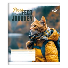 Зошит уч. "Бріск" 48арк.== /ТВ-14/ №2693 Мяу-пригода (15/180)