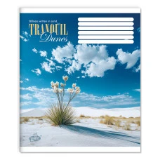 Зошит уч. "Бріск" 60арк.== /ТВ-15/ №2699 Душа стихiй (15/180)