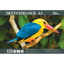 Скетчбук А3/30арк. "Офорт" /AА3430/  ТВ/подложка, спіраль, 120г/м2 (5/30)