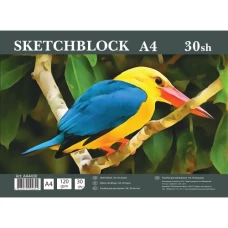 Альбом для малювання "Офорт"  AА4430  А4/30л. ТВ/подл., пруж.(120г/м.кв)  (5/60)