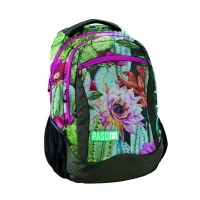 Рюкзак "PASO" /18-2808LO/ 3від., 43*31*19см (1/12)