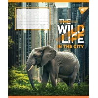Зошит уч. "YES" 60арк.# /767770/ "The wild in the city" (10/160)