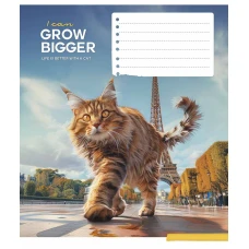 Тетрадь уч. "Школярик" 12л.# /3451K/ "Gigantic cats" ИД лак (нейт) (30/300)