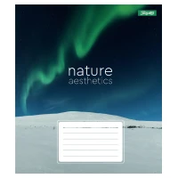 Зошит уч. "1B" 96арк.# /768108/ "Nature aesthetics" (5/120)