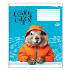 Зошит уч. "Бріск" 48арк.== /ТВ-14/ №2694 Зимовий вайб (15/180)