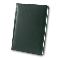 Щоденник ЗВ-433 н/дат "SARIF" зелений Франц.Перепарк. 168 арк. == 142х203 (10)