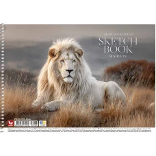 Альбом для малювання "Школярик" А4/30арк./PB-SC-030-8064/ спіраль, 120г/м2 (9/63) Альбом для малювання "Школярик" А4/30арк./PB-SC-030-8064/ спіраль, 120г/м2 (9/63)