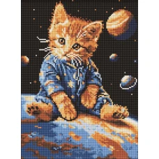 Алмазная мозаика "Идейка" /AMO8167/ "Звездный котик" 30*40см