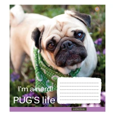 Зошит уч. "ЗУ" 60арк.== /795455/ "MOPS -17"  (10/160)