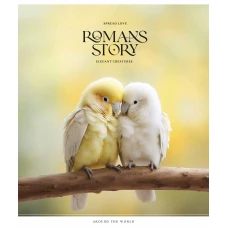 Зошит уч. "Школярик" 48арк.# /3571K/ УФ-лак (нейт) (10/100)