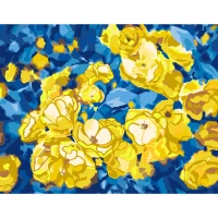 STOCK Картина за номерами "Квітуча Україна" /N00013764/ 35*45см, RS