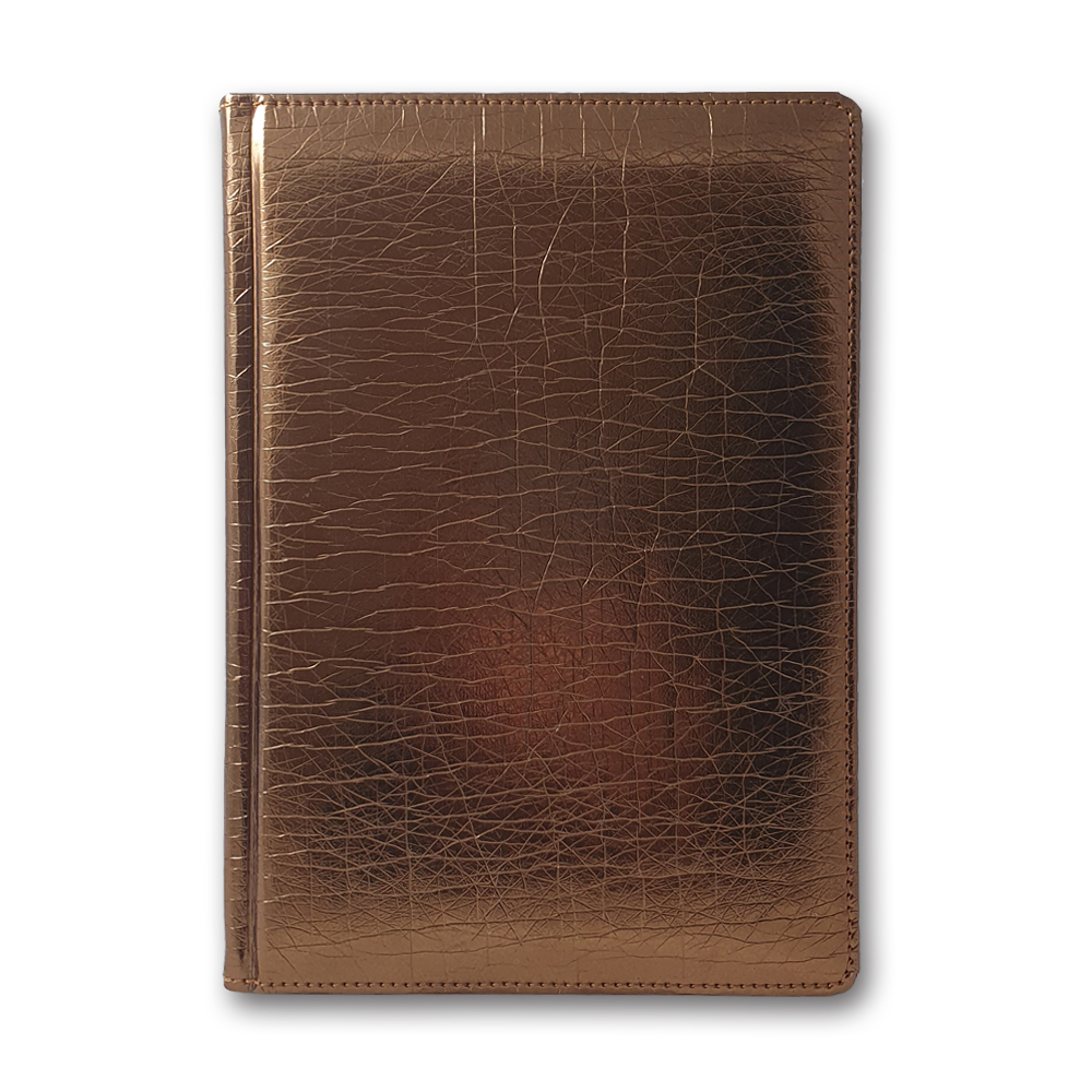 Diary ZV-43 n/date "FLASH" bronze 168 sheets. ==142x203 (10)