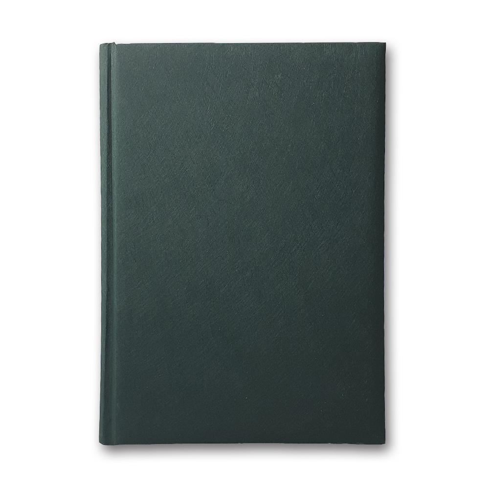 Diary ZV-43 n/date "Infolk" green 168 sheets. == 142x203 (10)