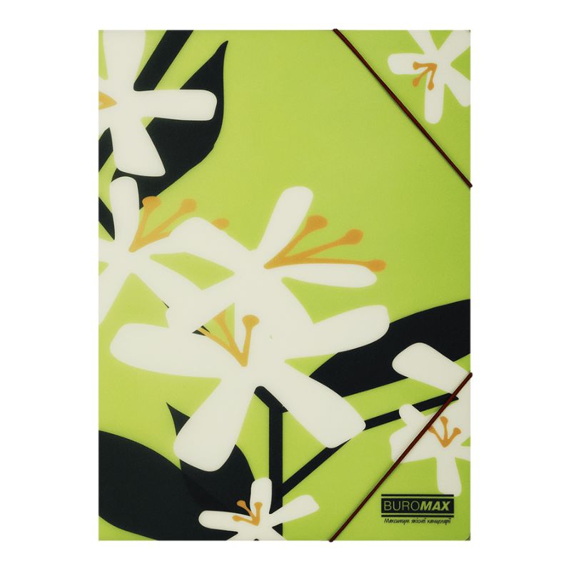 Folder on rubber bands A4 "BuroMAX" /BM.3908-15/ matte. plastic, ARABESKI, light green (1/12/180)