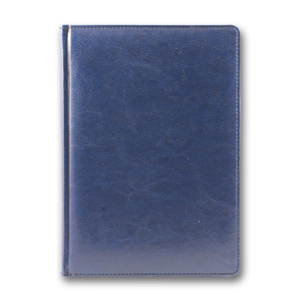Diary 3B-431 n/date "SARIF" BLUE + silver 168 sheets. == 142x203 (10)