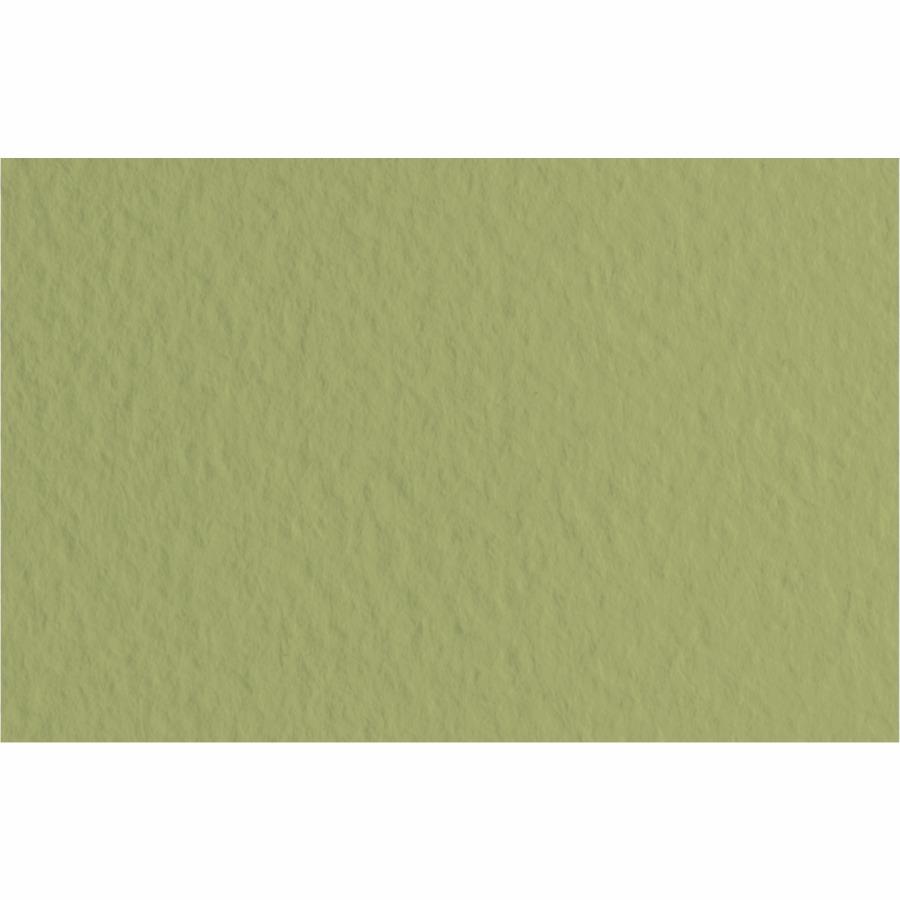 Tiziano pastel paper A4 (21*29.7cm), #14 muschio, 160g/m2, olive, medium grain, (10)