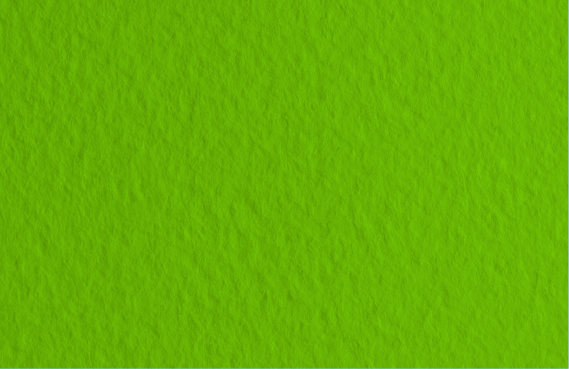 Tiziano pastel paper A4 (21*29.7cm), #43 pistacch, 160g/m2, pistachio, medium grain, (10)