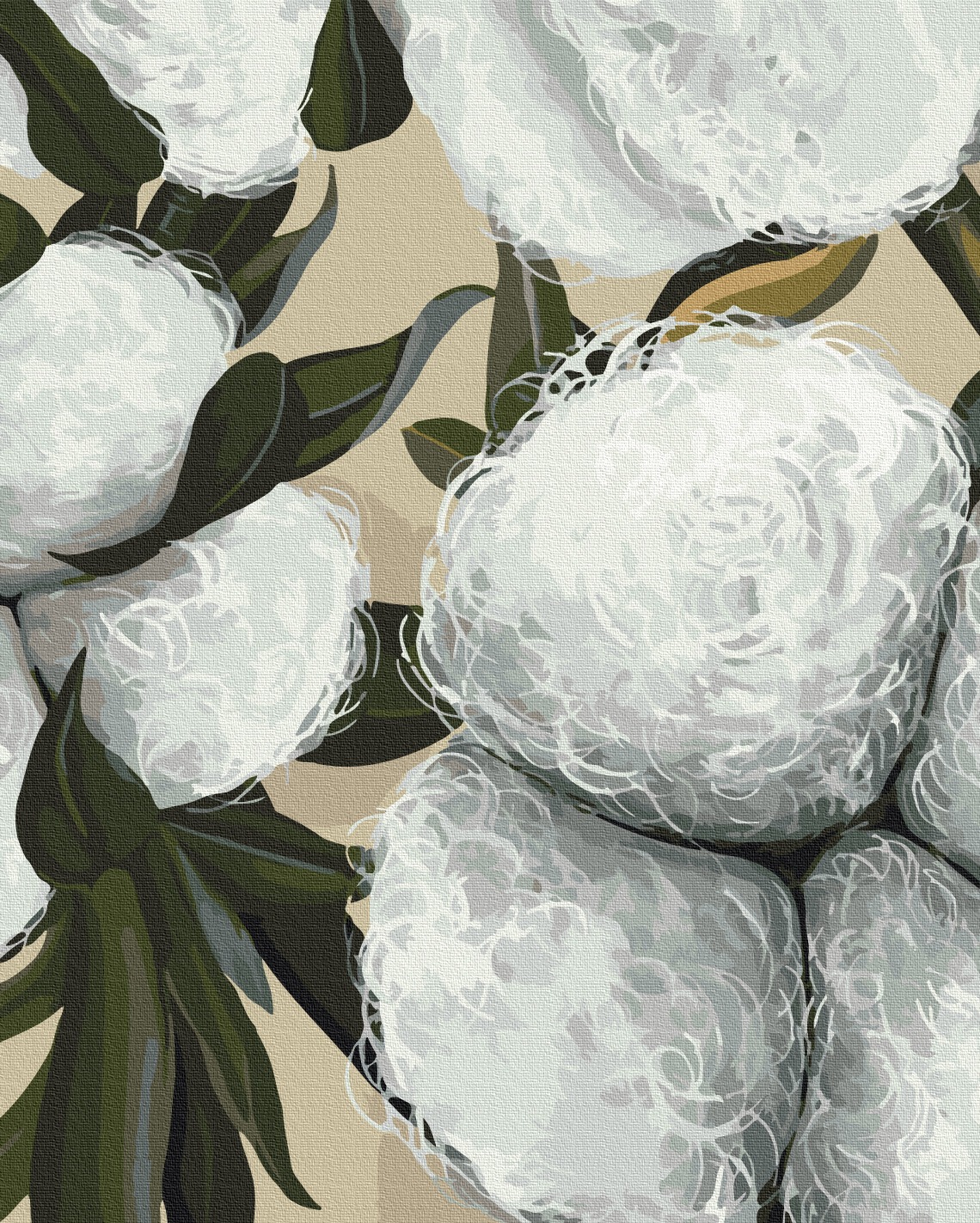 Картина за номерами "Brushme" /BS54064/ "Бавовна" 40*50см