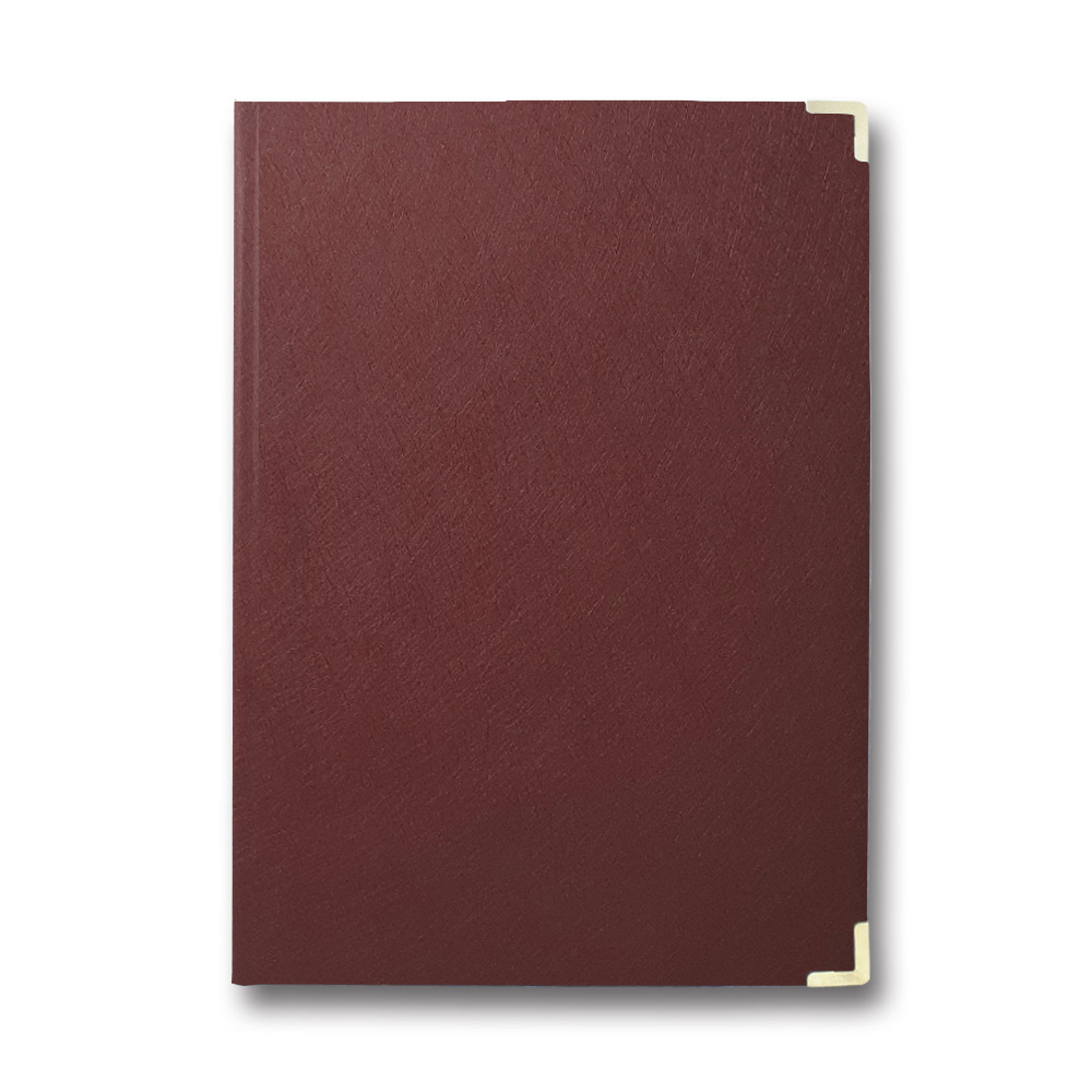Living room folder A4 "Clean" "Brisk" /PPV-5/ "Infolk" burgundy (1/20)