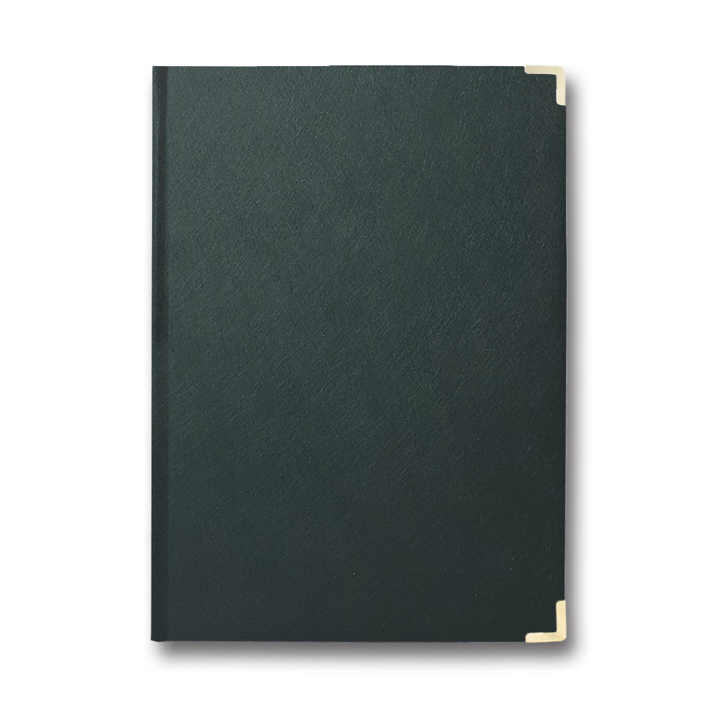 Living room folder A4 "Clean" "Brisk" /PPV-5/ "Infolk" green (1/20)