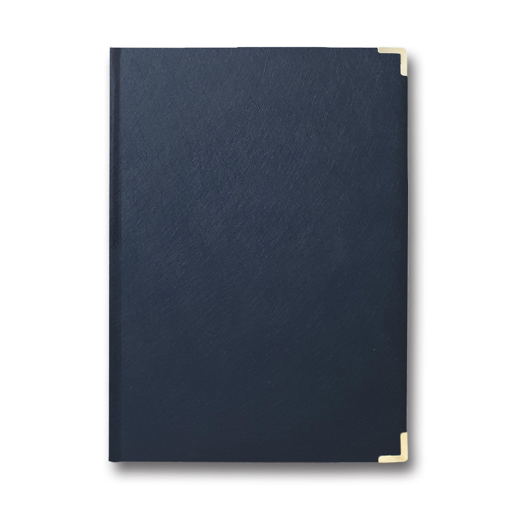 Living room folder A4 "Clean" "Brisk" /PPV-5/ "Infolk" blue (1/20)