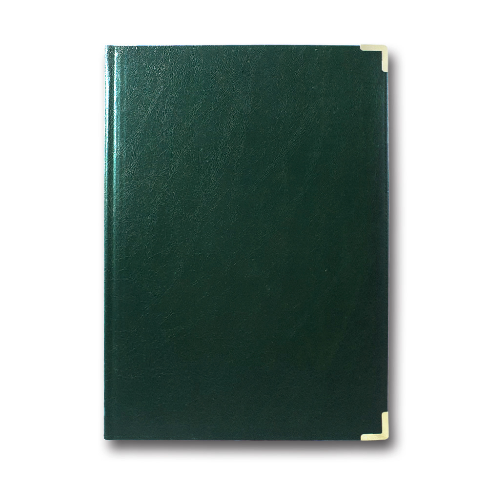 Living room folder A4 "Clean" "Brisk" /PPV-5/ "Infolk-Miradur" green (1/20)