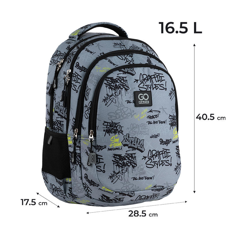 Backpack "GoPack" /GO25-162M-4/ Teens 162M-4 (1/10)