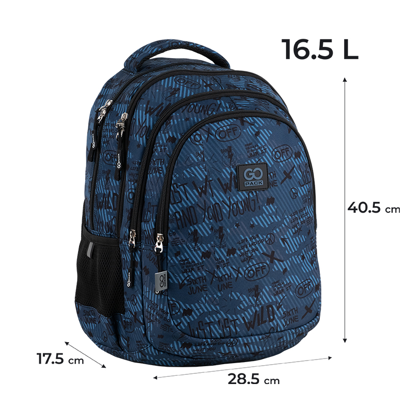 Backpack "GoPack" /GO25-162M-5/ Teens 162M-5 (1/10)