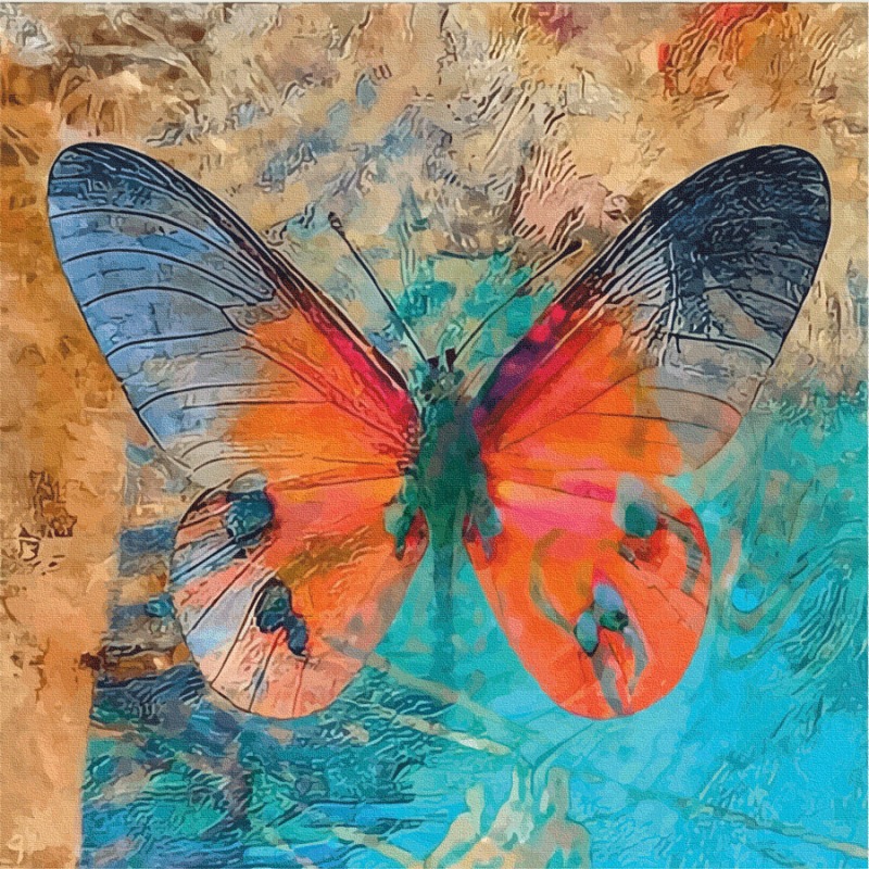 Painting on cardboard with outline "ROSA START" 30*30 "Butterfly 1" WITHOUT PAINTS /GPA284322/588/