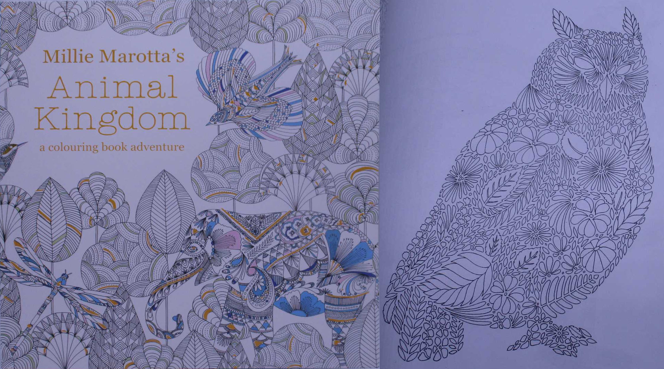 Coloring-Antistress /690-1/ "In the animal world" 48 sheets. 96 cards, 25*25 cm, 120 g/m2. (1/120)