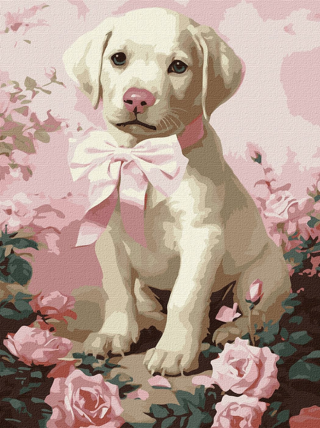 Paint by number "Ideyka" /KHO6755/ "Fluffy gift" 30*40cm