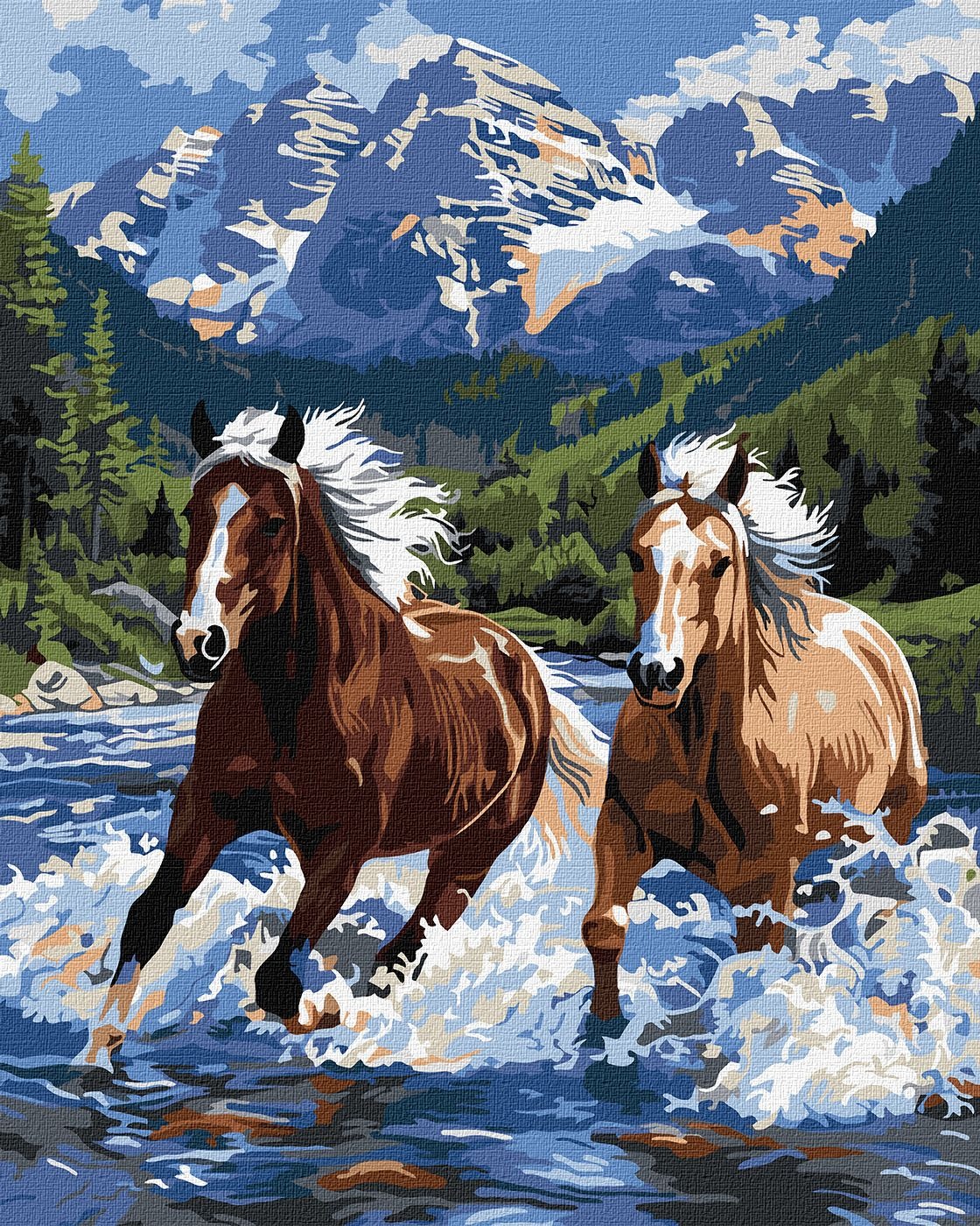 Painting by numbers "Ideyka" /KHO6830/ "Power in motion" 40*50 cm