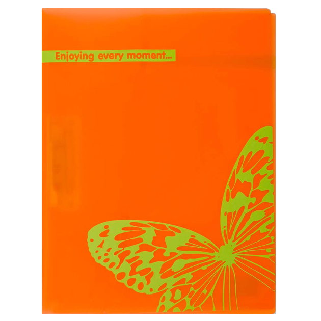 Folder with side pressure "Leo" /490845/ L6169 A4 "Coloriche" (1/20/120)