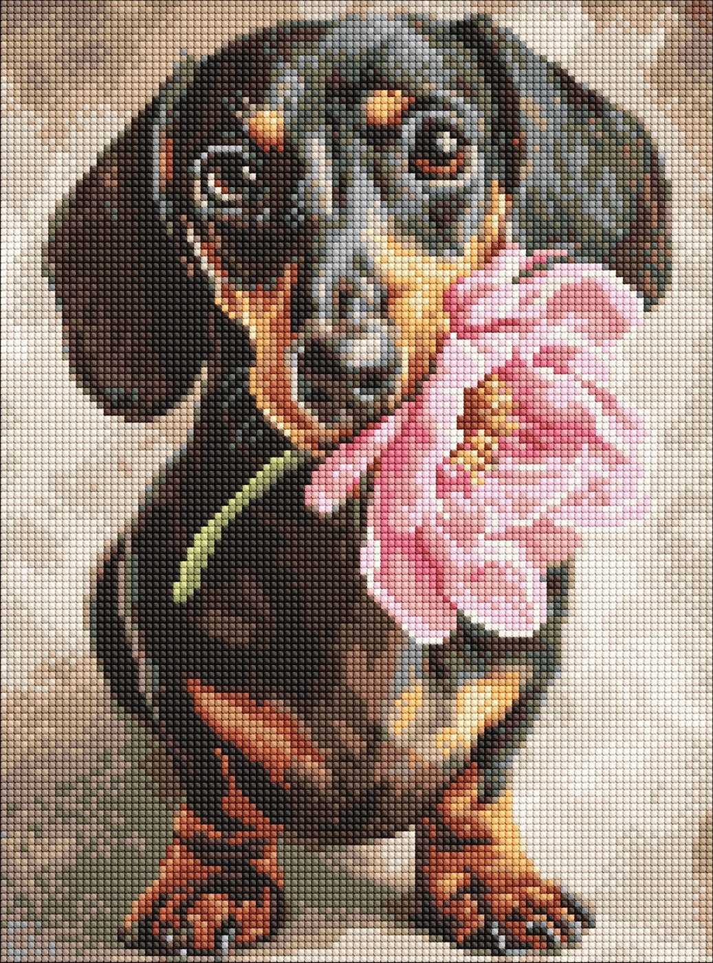 Diamond mosaic "Ideyka" /AMO20219/ "Dog and surprise" 30*40cm