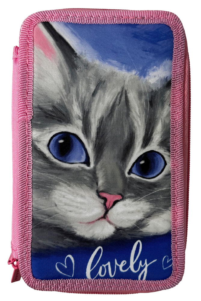 Pencil case "CLASS" /24306C/ 2 compartments, empty, "Lovely Cat"