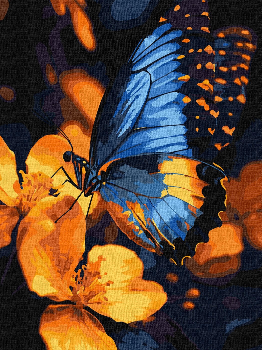 Painting by numbers "Ideyka" /KHO6731/ "Flicker of wings" 30x40 cm