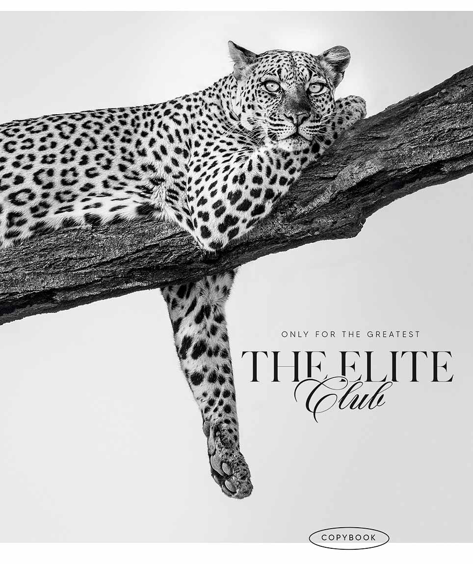 Зошит уч. "Школярик" 60арк.# /3767K/ "Elite club" виб.УФ-лак (нейт) (10/80)