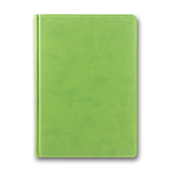 Diary ZV-43 n/date "Infolk" pistachio 168 sheets. == 142x203 (1/10)